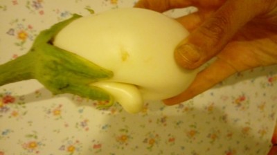 20170808_104312.jpg (37.3 KiB) Osservato 947 volte 20170808_104312.jpg