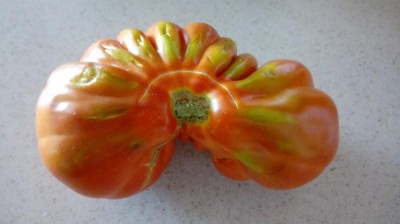 20170810_144024.jpg (46.53 KiB) Osservato 856 volte 20170810_144024.jpg