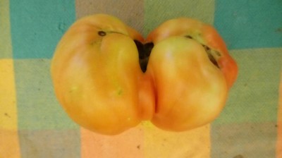 20170814_110844.jpg (34.81 KiB) Osservato 786 volte 20170814_110844.jpg