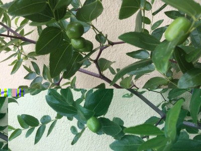 IMG_0478.JPG (108.5 KiB) Osservato 996 volte IMG_0478.JPG