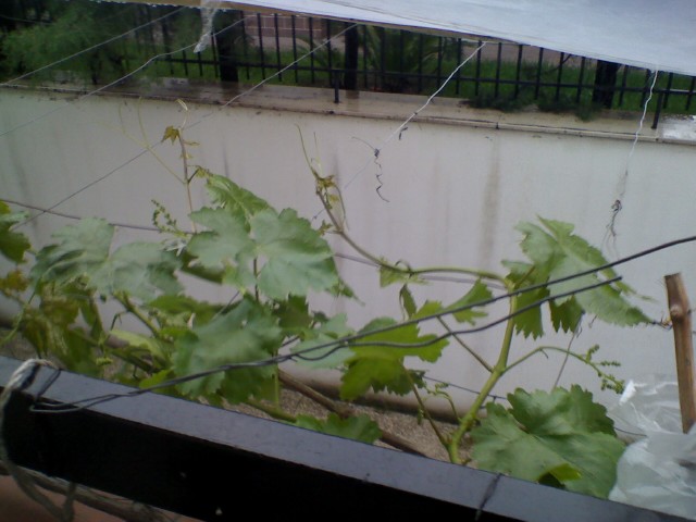 DSC_00079.jpg DSC_00079.jpg