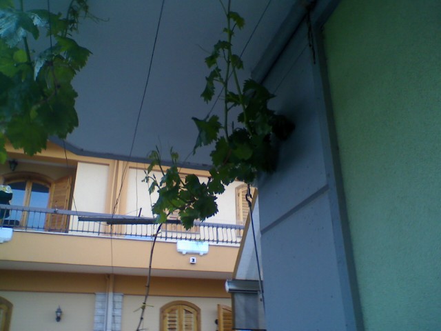 DSC_00082.jpg DSC_00082.jpg