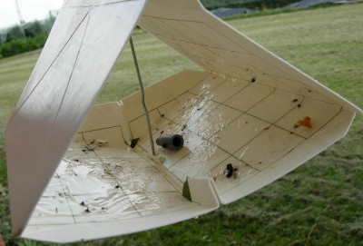 trap monitoraggio carpocapsa 2.JPG (75.24 KiB) Osservato 2027 volte trap monitoraggio carpocapsa 2.JPG