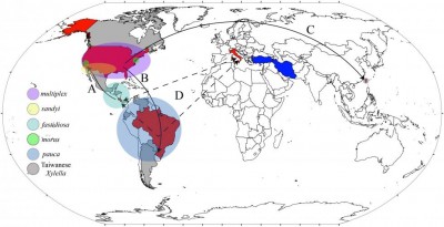 X. fastidiosa - distribution map.jpeg (72.89 KiB) Osservato 1444 volte X. fastidiosa - distribution map.jpeg