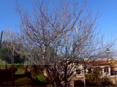 IM000806rid.jpg (80.8 KiB) Osservato 9257 volte IM000806rid.jpg