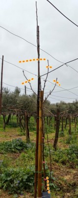 2018-02-07-13-51-50.jpg (67.73 KiB) Osservato 1074 volte 2018-02-07-13-51-50.jpg