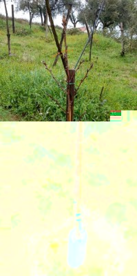 2018-02-07-13-30-27.jpg (131.86 KiB) Osservato 1162 volte 2018-02-07-13-30-27.jpg