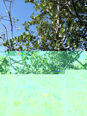 35439682_1026849917489238_1561179599453290496_n.jpg (234.94 KiB) Osservato 732 volte 35439682_1026849917489238_1561179599453290496_n.jpg