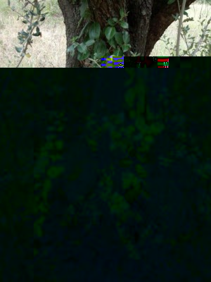 IMG_20180814_112224.jpg (184.57 KiB) Osservato 458 volte IMG_20180814_112224.jpg