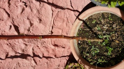 20190405_144622.jpg (130.91 KiB) Osservato 641 volte 20190405_144622.jpg