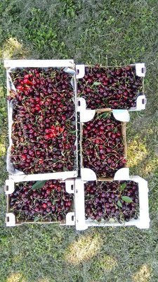 IMG_20190602_155457.jpg (195.19 KiB) Osservato 785 volte IMG_20190602_155457.jpg