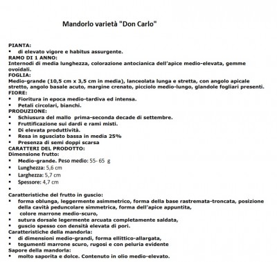 doncarlo.jpg (182.59 KiB) Osservato 591 volte doncarlo.jpg
