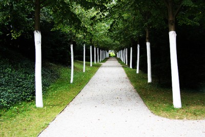 white-tree-trunk.jpg (307.79 KiB) Osservato 618 volte white-tree-trunk.jpg