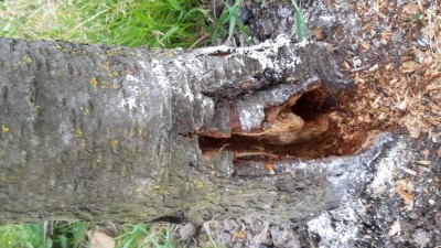 20200418_193138.jpg (134.3 KiB) Osservato 427 volte 20200418_193138.jpg