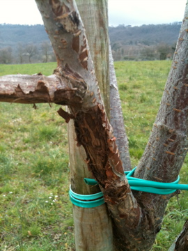 IMG_0347.jpg IMG_0347.jpg