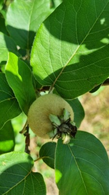 photo_2022-05-16 11.21.05.jpeg (70.34 KiB) Osservato 572 volte photo_2022-05-16 11.21.05.jpeg