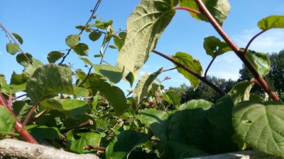 IMG_20220621_175210.jpg (91.08 KiB) Osservato 774 volte IMG_20220621_175210.jpg