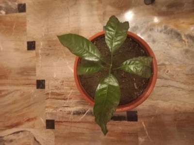 20230303_190443.jpg (70.99 KiB) Osservato 488 volte 20230303_190443.jpg