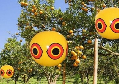 Spaventapasseri moderno.jpg (81.42 KiB) Osservato 709 volte Spaventapasseri moderno.jpg