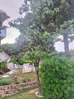 IMG20240513181158.jpg (227.18 KiB) Osservato 1183 volte IMG20240513181158.jpg