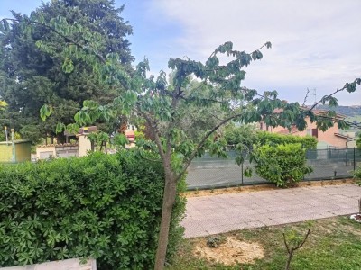 IMG20240513181245.jpg (182.68 KiB) Osservato 1221 volte IMG20240513181245.jpg