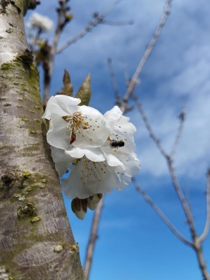 90e2c249-556d-48b8-a636-35bc0b6218cf.jpg (73.54 KiB) Osservato 1688 volte 90e2c249-556d-48b8-a636-35bc0b6218cf.jpg