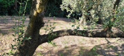 IMG_20250602_183240.jpg (133.08 KiB) Osservato 1463 volte IMG_20250602_183240.jpg