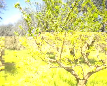 Diapositiva2.JPG Diapositiva2.JPG