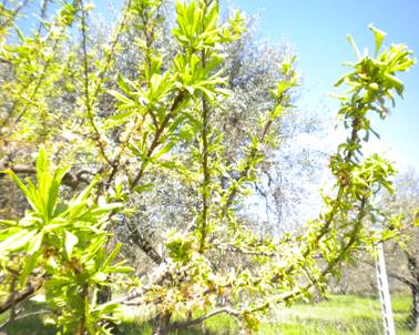 Diapositiva1.JPG Diapositiva1.JPG