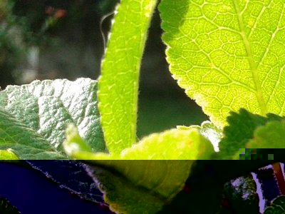 imm3.jpg (76.56 KiB) Osservato 556 volte imm3.jpg