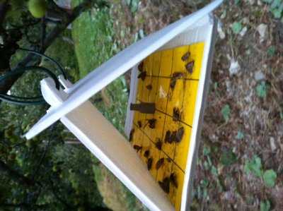 foto.JPG (137.52 KiB) Osservato 739 volte foto.JPG