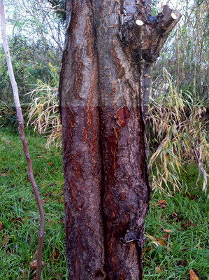 FOTO c.JPG (309 KiB) Osservato 1296 volte FOTO c.JPG