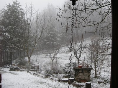 DSCN7610.JPG (255.4 KiB) Osservato 5882 volte DSCN7610.JPG