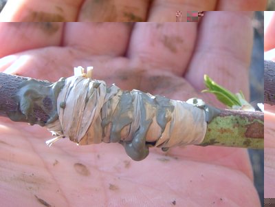 2DSCN7863.JPG (85.68 KiB) Osservato 5854 volte 2DSCN7863.JPG