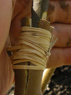 5DSCN7876.JPG (95.83 KiB) Osservato 5854 volte 5DSCN7876.JPG