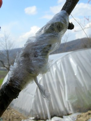 7DSCN7879.JPG (86.24 KiB) Osservato 5854 volte 7DSCN7879.JPG