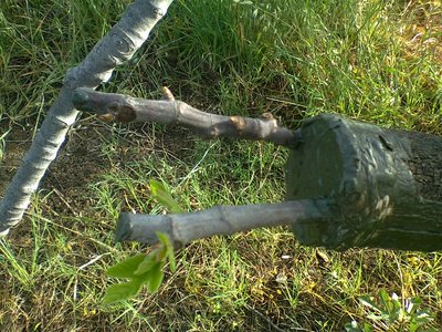 Foto0198.jpg (289.97 KiB) Osservato 650 volte Foto0198.jpg