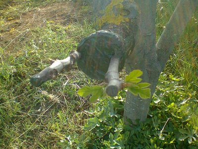 Foto0199.jpg (283.36 KiB) Osservato 646 volte Foto0199.jpg