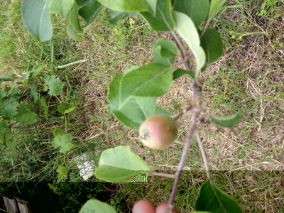 foto (1).JPG (131.44 KiB) Osservato 729 volte foto (1).JPG