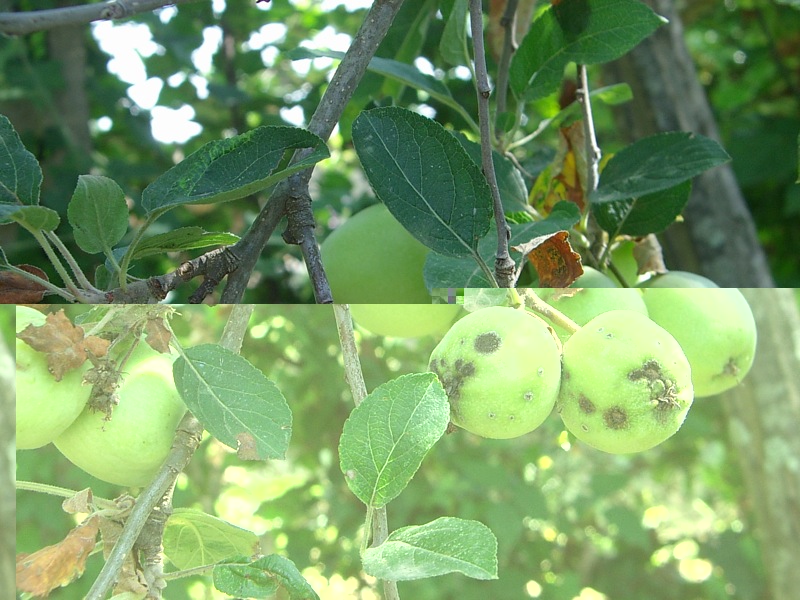 IMGP6119.JPG IMGP6119.JPG