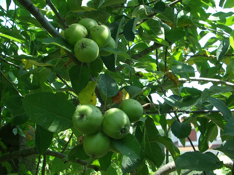 IMGP6120.JPG IMGP6120.JPG