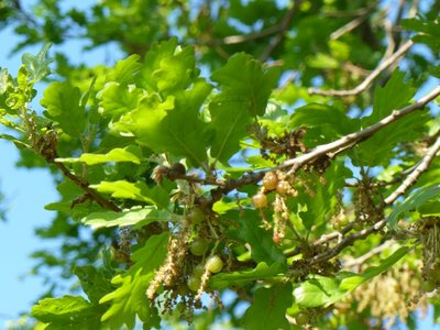 P1040814.JPG (321.02 KiB) Osservato 745 volte P1040814.JPG