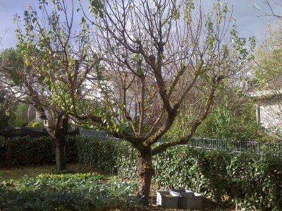 IMG-20131103-00362.jpg (197.98 KiB) Osservato 633 volte IMG-20131103-00362.jpg