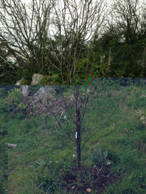 foto 3.JPG (127.25 KiB) Osservato 629 volte foto 3.JPG