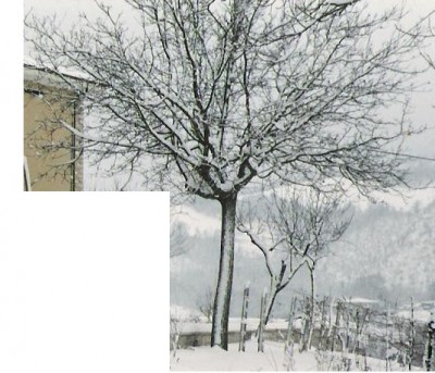 ui.jpg (109.24 KiB) Osservato 602 volte ui.jpg