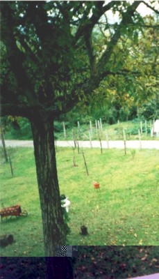 10.jpg (103.53 KiB) Osservato 602 volte 10.jpg