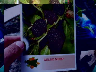 P1030590.JPG (141.4 KiB) Osservato 1372 volte P1030590.JPG