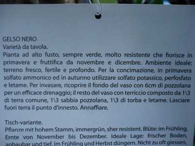 P1030592.JPG (145.56 KiB) Osservato 1372 volte P1030592.JPG