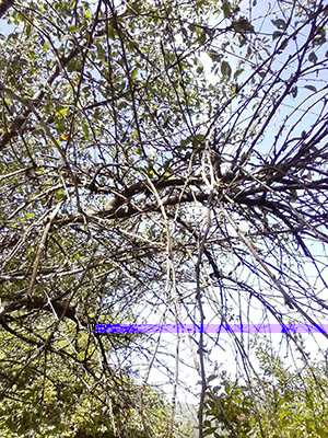 CAM00323 web.jpg CAM00323 web.jpg