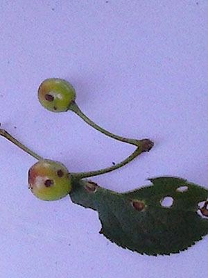 CAM00326 web.jpg CAM00326 web.jpg